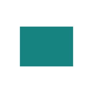 Cartulina 50x65 185g Iris Canson VERDE MENTA