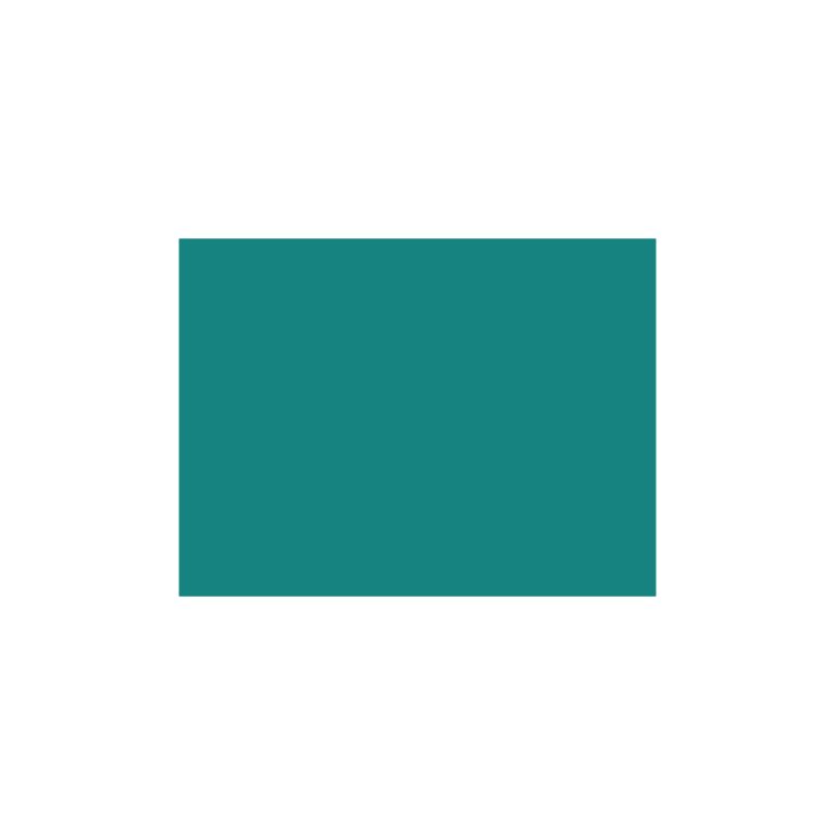 Cartulina 50x65 185g Iris Canson VERDE MENTA