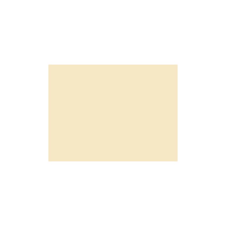 Cartulina 50x65 185g Iris Canson COLOR CARNE