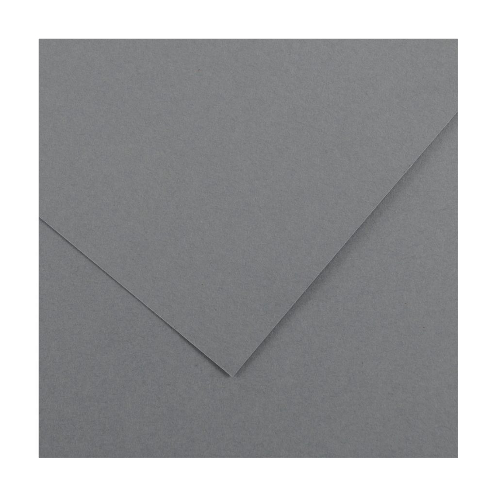 Cartulina 50x65 185g Iris Canson GRIS PLOMO