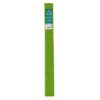 Papel crespón superior 60gr VERDE PRIMAVERA CANSON